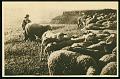 Cartes postales anciennes 12828